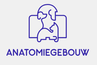 Schermafbeelding 2025-12-31 214258